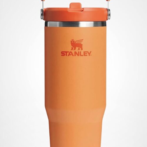 Termo Stanley 30 oz - 887 ml